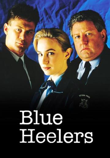Blue Heelers