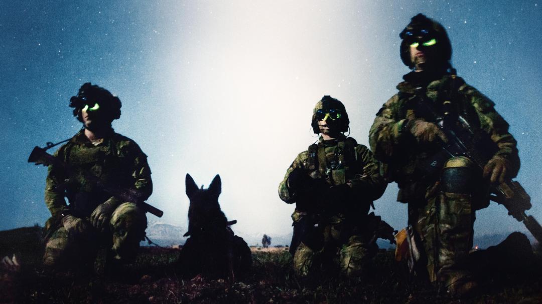 Background image for War Dog: A Soldier's Best Friend