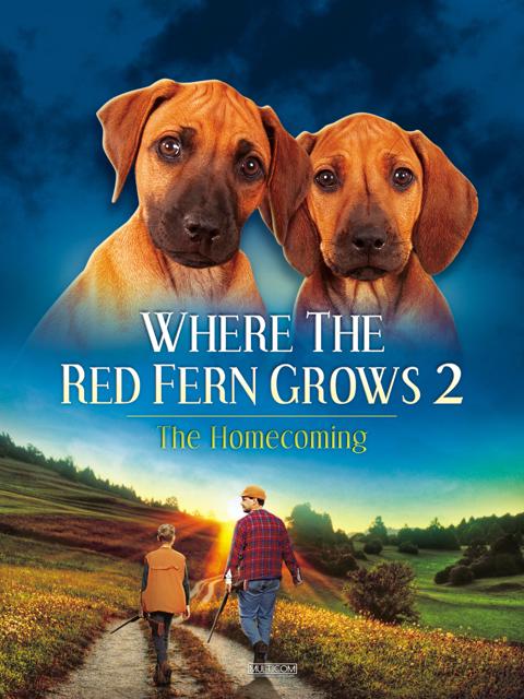 Movie poster for Where The Red Fern Grows Part 2