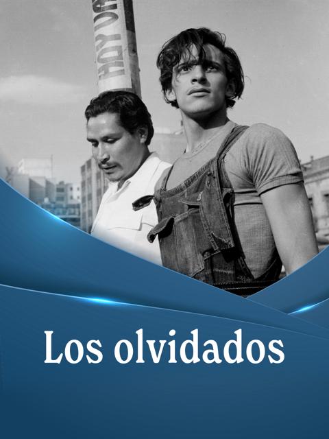 The Young and the Damned