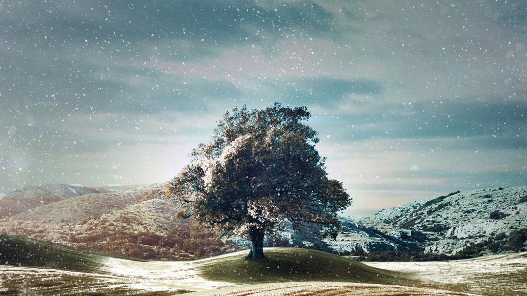 Background image for Who Do You Think You Are?