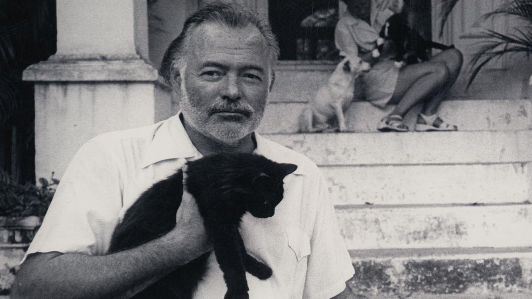 Background image for Hemingway
