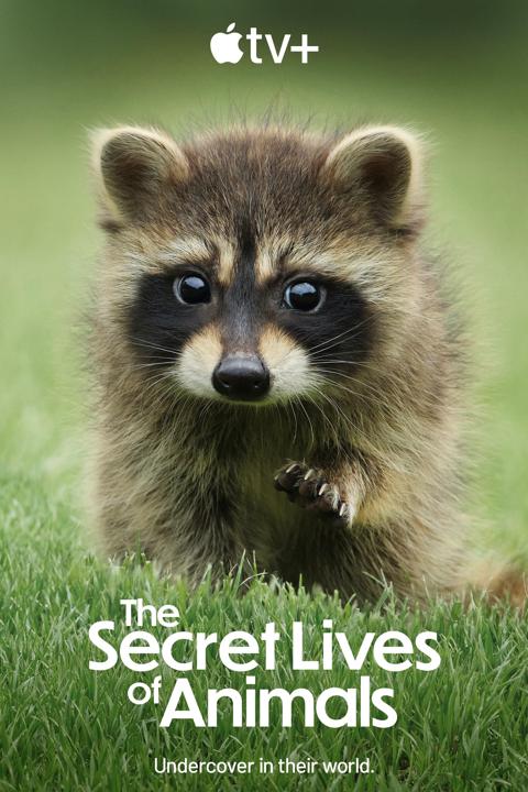 Poster för The Secret Lives of Animals