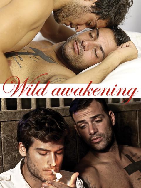 Movie poster for Wild Awakening