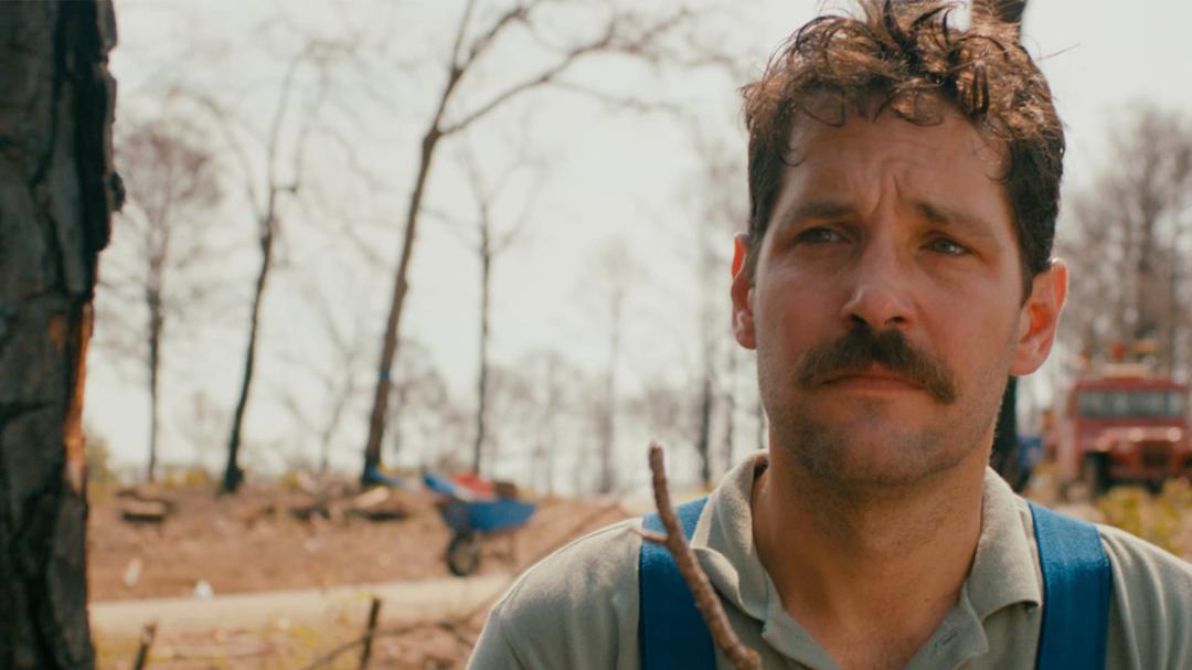 Background image for Prince Avalanche