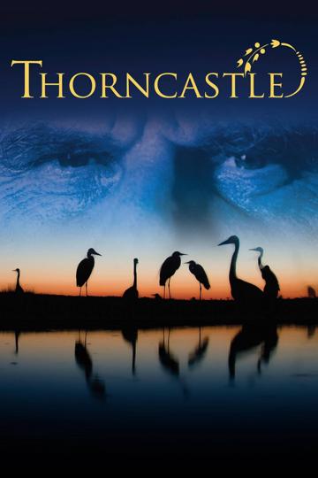 Thorn Castle poszter
