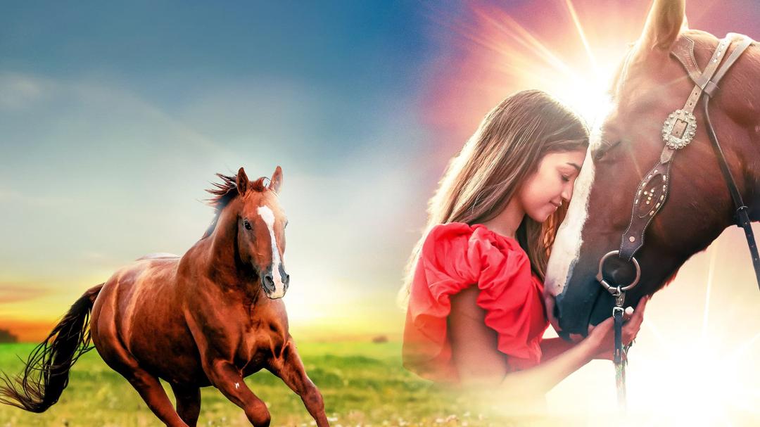 Background image for Joy of Horses
