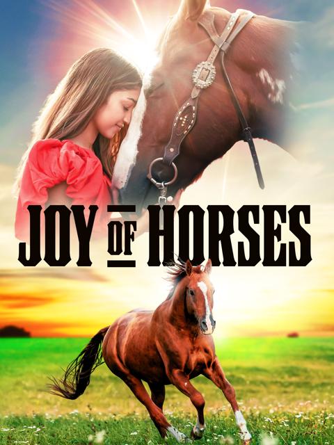 Movie poster for Joy of Horses