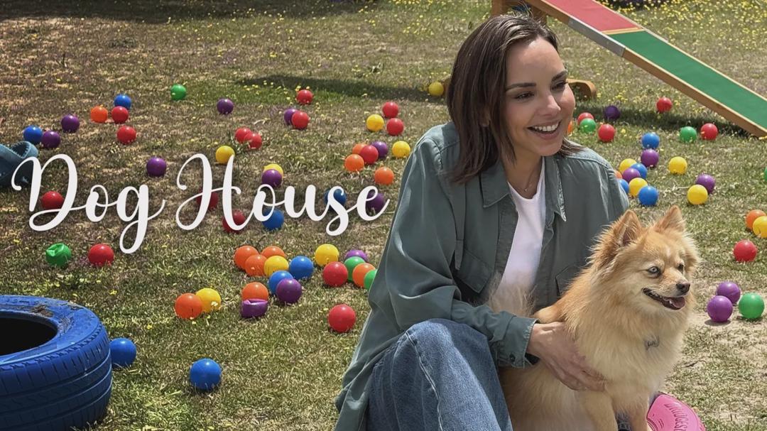 DOG HOUSE