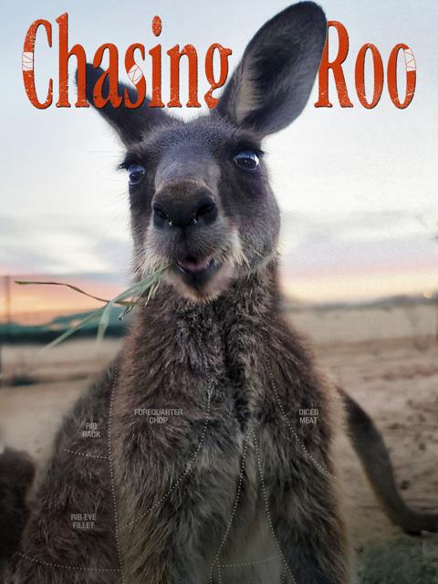 Poster för Chasing Roo