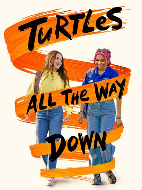 Turtles All the Way Down