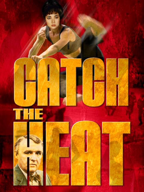 Movie poster for Catch the Heat