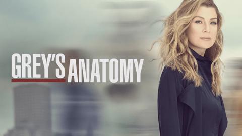 Grey's Anatomy — series poster