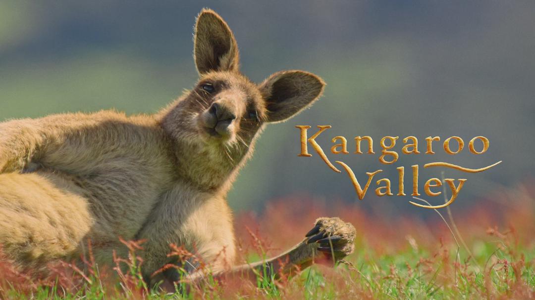 Kangaroo Valley