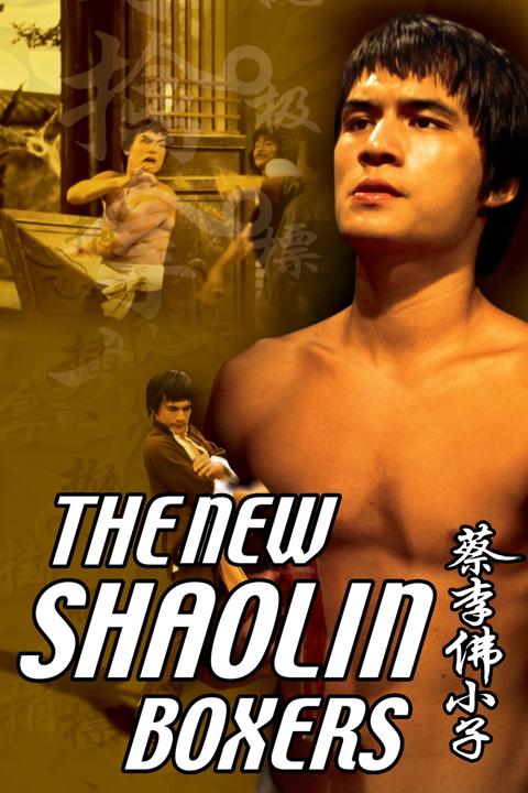 Poster för The New Shaolin Boxers