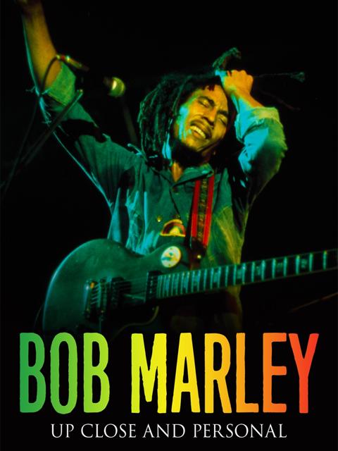 Movie poster for Classic Albums: Bob Marley & the Wailers - Catch a Fire