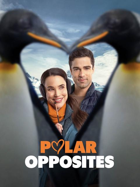 Movie poster for Polar Opposites