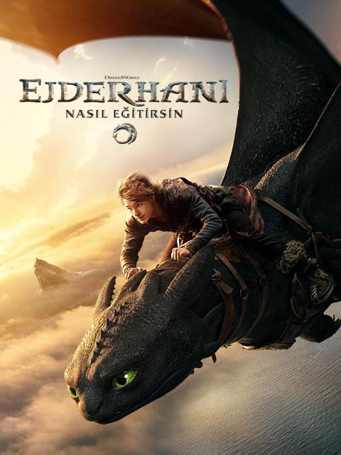 Ejderhanı Nasıl Eğitirsin