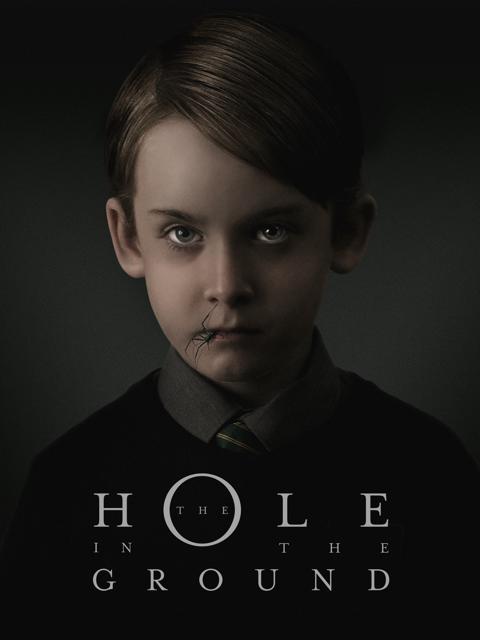 Poster för The Hole in the Ground