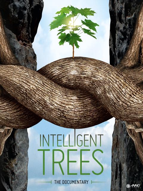 Movie poster for Intelligent Trees