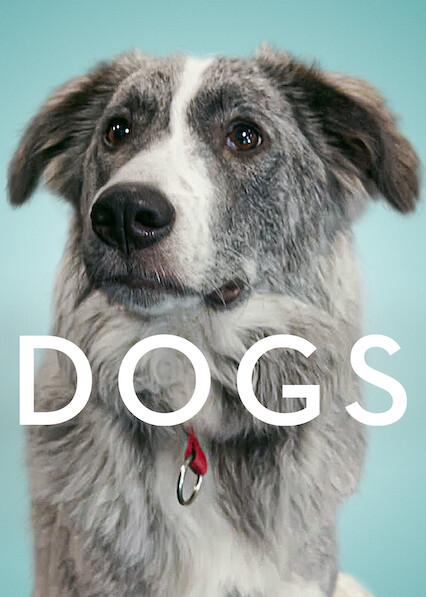 Poster för Dogs