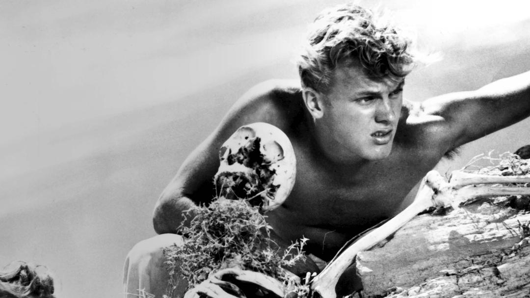 Background image for Return to Treasure Island