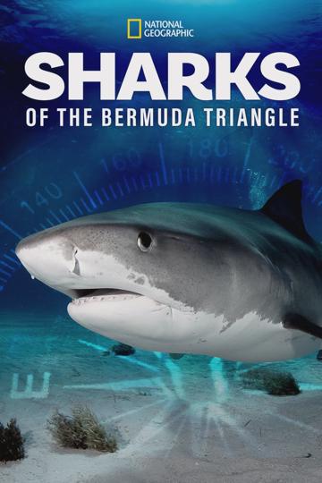 Sharks of the Bermuda Triangle poszter