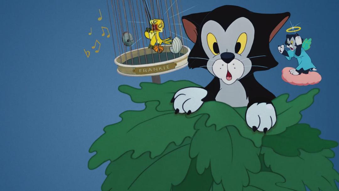 Background image for Figaro and Frankie