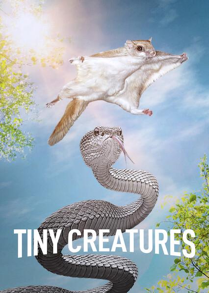 Poster för Tiny Creatures