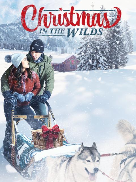 Movie poster for Christmas in the Wilds