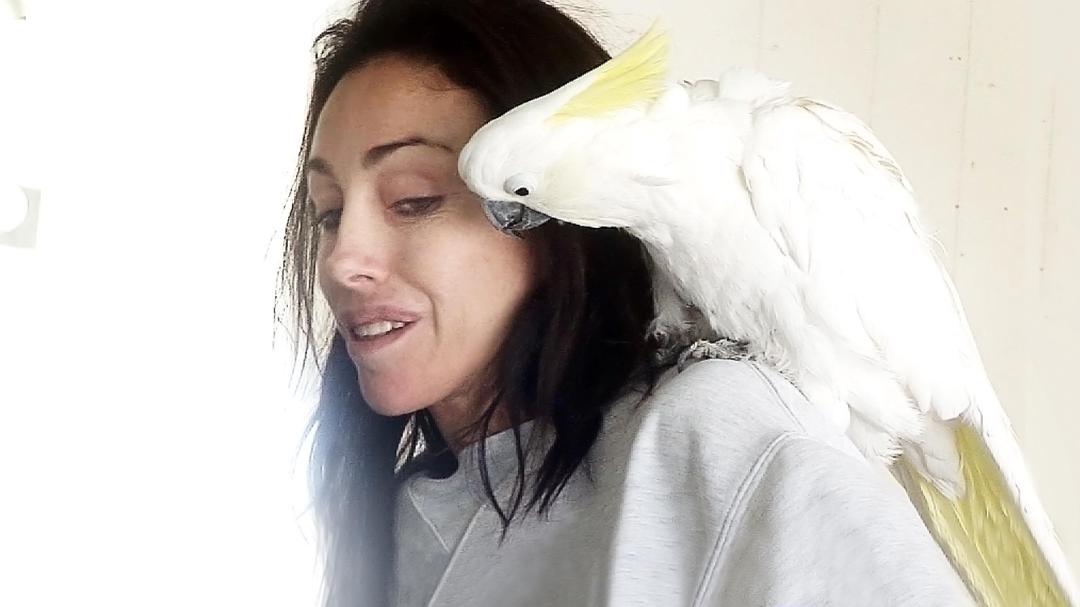 Background image for Heidi Fleiss: The Would-be Madam of Crystal