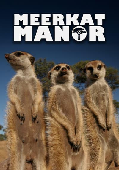 Series poster for Meerkat Manor