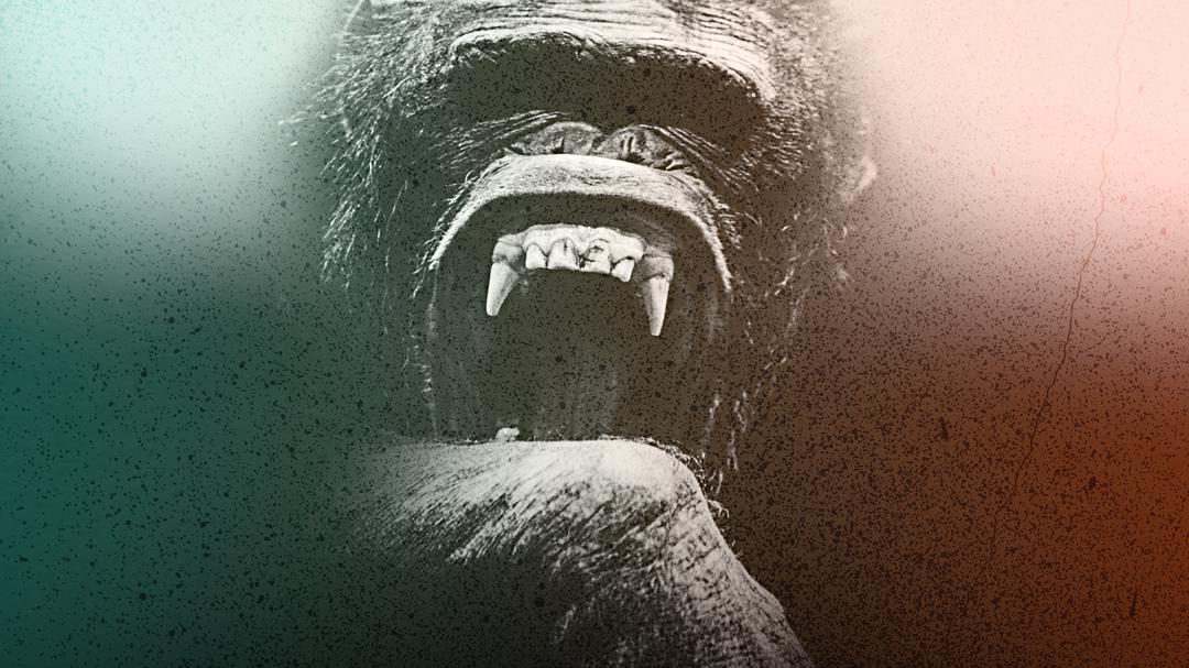 Background image for Rise of the Warrior Apes