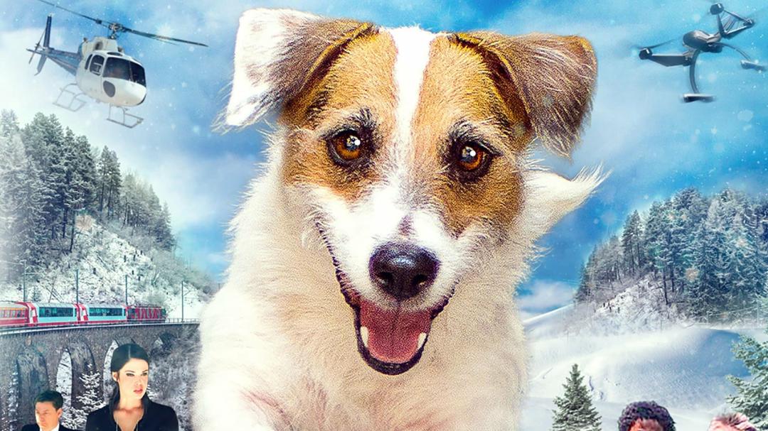 Background image for A Doggone Christmas