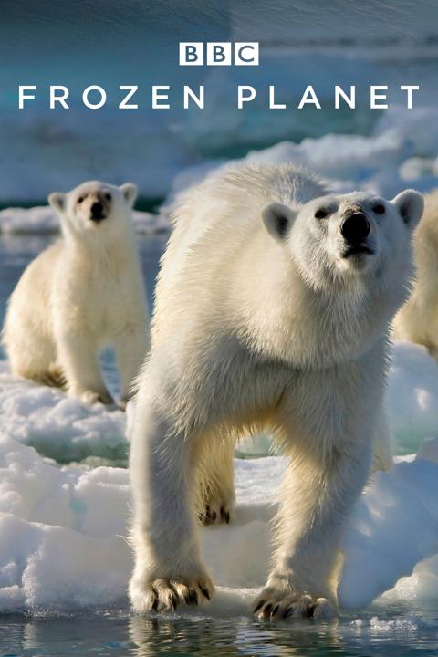 Series poster for Frozen Planet
