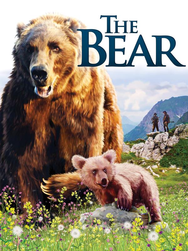 The Bear