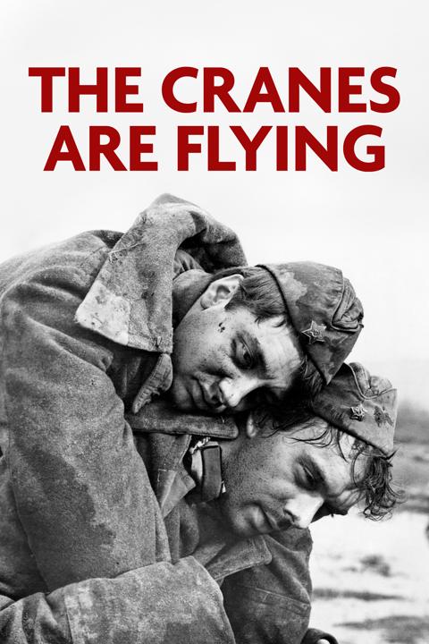 The Cranes Are Flying