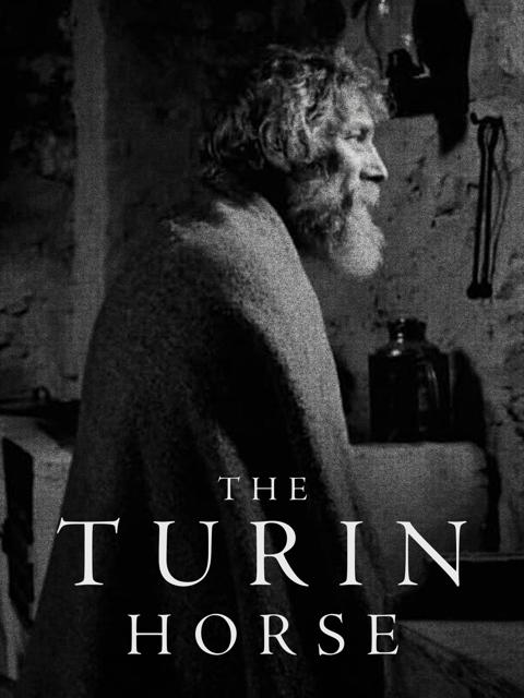 Movie poster for The Turin Horse