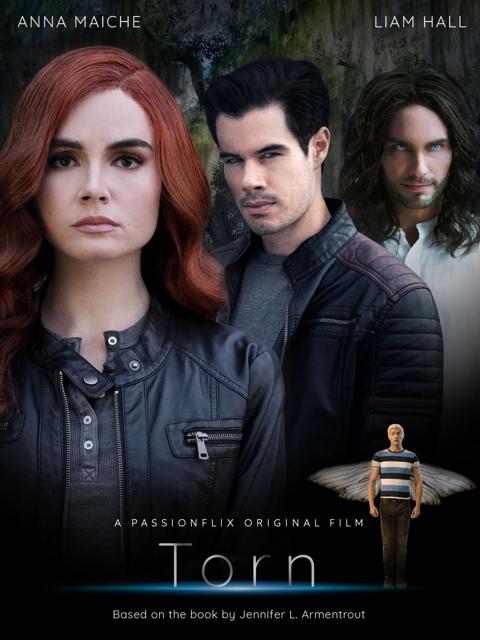 Movie poster for Torn