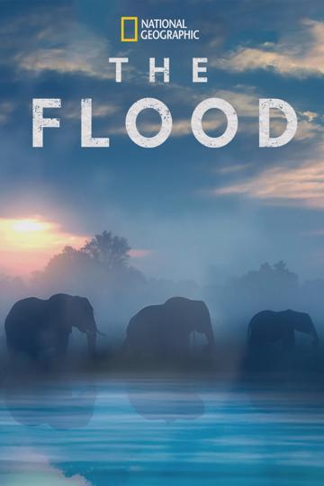 The Flood poszter