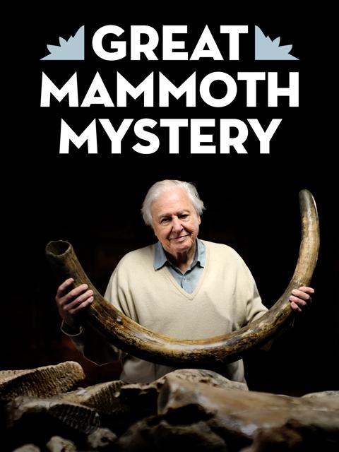 Movie poster for Attenborough and the Mammoth Graveyard