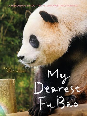 My Dearest Fu Bao