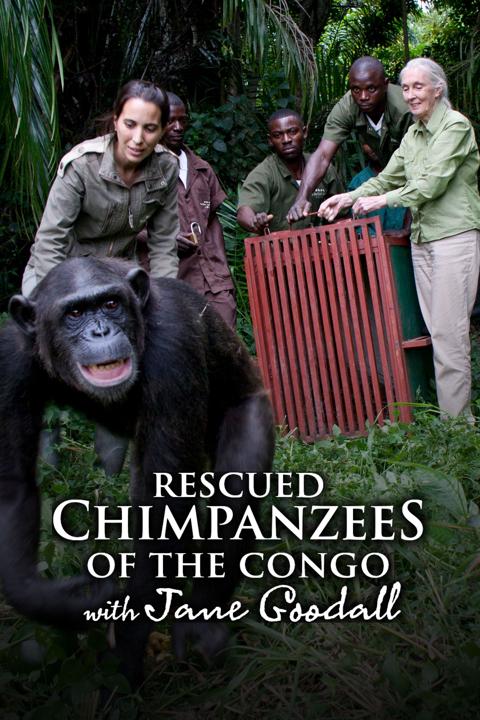 Poster för Jane Goodall: The Hope