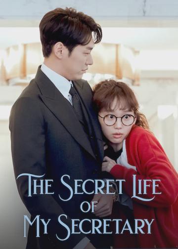 The Secret Life of My Secretary poszter