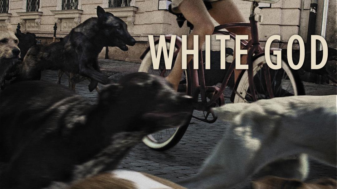 White God