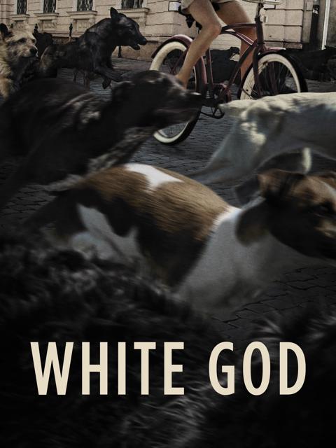 Poster för White God