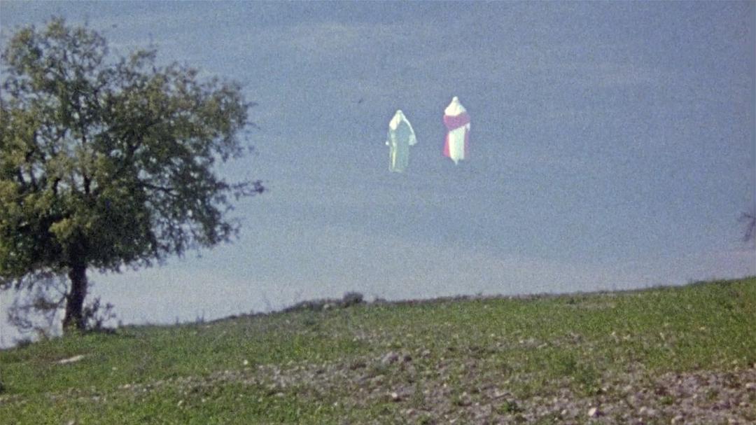 Background image for The Believer's Heaven