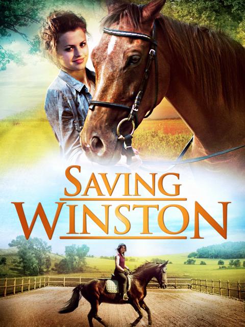Movie poster for Saving Winston
