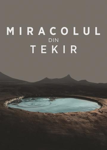 A tekiri csoda poszter