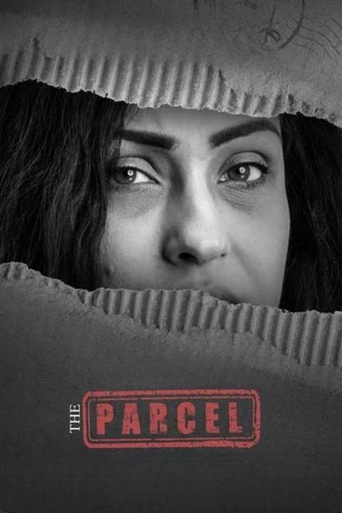 Movie poster for The Parcel